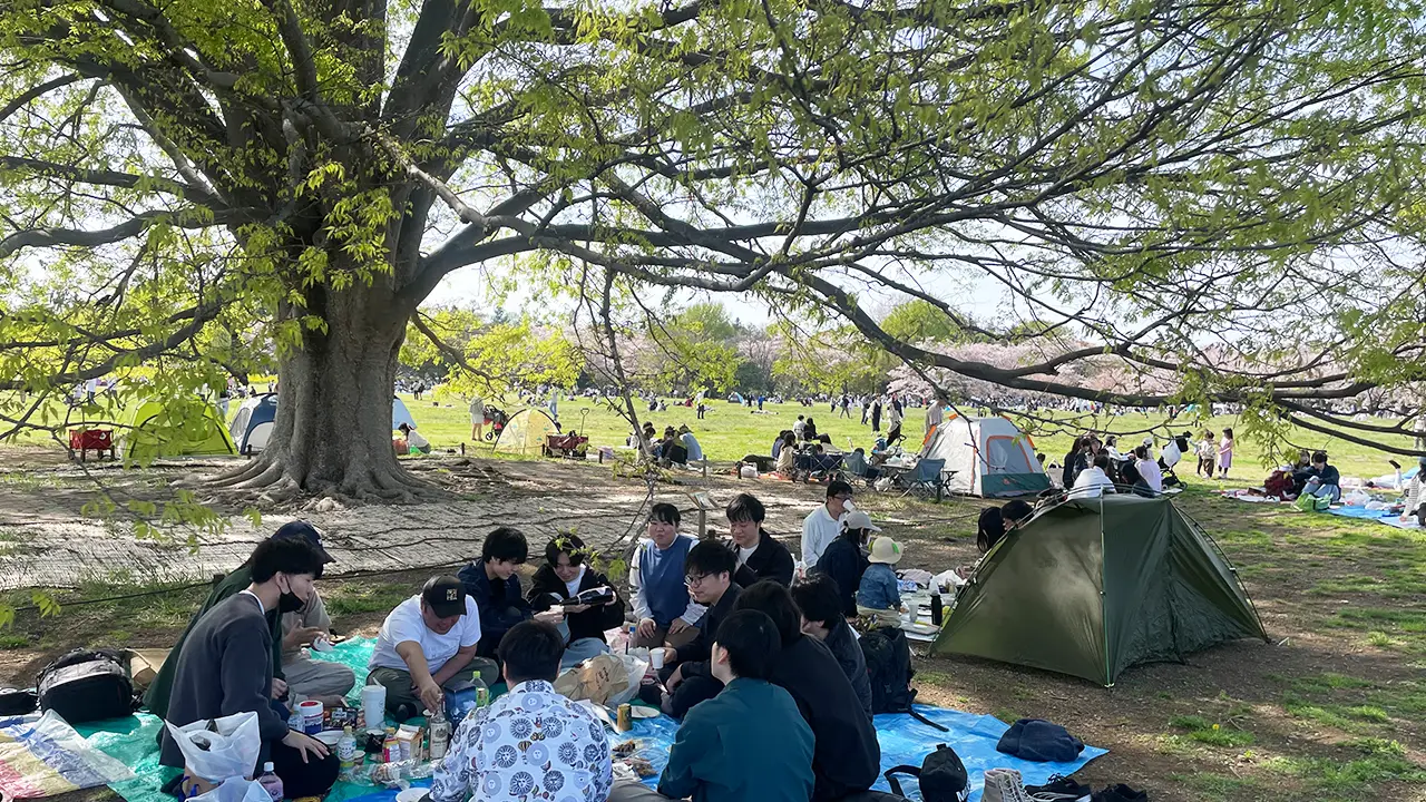 お花見イベントが開催されました☆